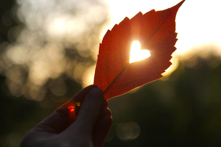 Wave-Of-Light